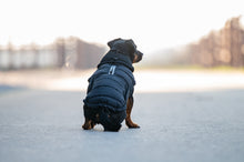 Load image into Gallery viewer, Catago Fir Tech Puffer Dog Rug