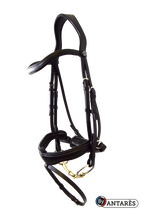 Load image into Gallery viewer, Antares Signature Dressage Bridle