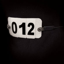 Load image into Gallery viewer, Showing Number Clips