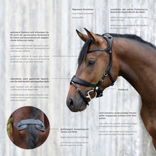 Load image into Gallery viewer, Stubben Freedom Bridle Magic Tack