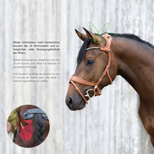 Load image into Gallery viewer, Stubben Freedom Bridle Magic Tack