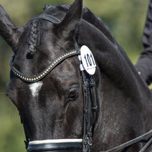 Load image into Gallery viewer, Equetech Bridle Dressage Numbers - Pair
