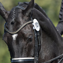 Load image into Gallery viewer, Equetech Bridle Dressage Numbers - Pair