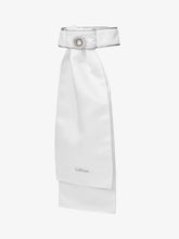 Load image into Gallery viewer, LeMieux Sparkle Stock