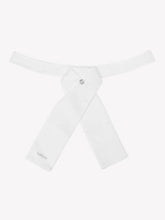 Load image into Gallery viewer, LeMieux Classic Stock White