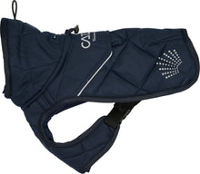 Load image into Gallery viewer, Catago Fir-Tech Trainer Dog Rug