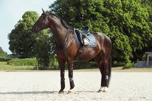 Load image into Gallery viewer, Fir Tech Elegant Dressage Saddle Pad Seasonal

