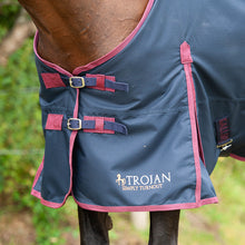Load image into Gallery viewer, Gallop Trojan 50 Standard Turnout Rug
