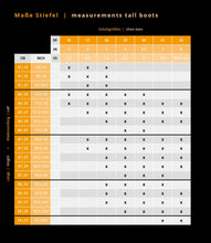 Load image into Gallery viewer, Tonics Spectrum Tall Boots