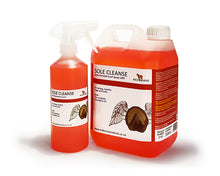 Load image into Gallery viewer, Red Horse Sole Cleanse