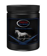 Load image into Gallery viewer, Omega Equine Electrolytes
