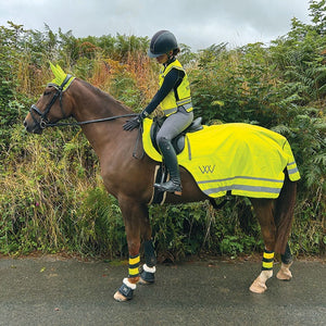 Woof Wear Winter Hi Viz Exercise Sheet