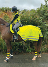 Load image into Gallery viewer, Woof Wear Hi Viz Exercise Sheet
