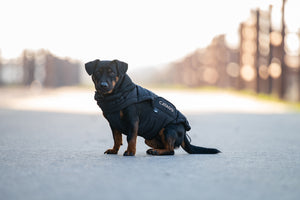 Catago Fir Tech Puffer Dog Rug