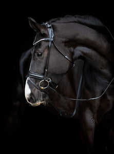 Catago Shay Rolled Bridle