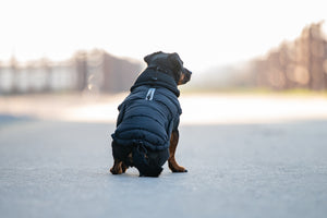 Catago Fir Tech Puffer Dog Rug