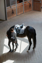 Load image into Gallery viewer, Catago Fir Tech Saddle Pad Seasonal
