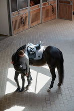 Load image into Gallery viewer, Catago Fir Tech Saddle Pad SS24
