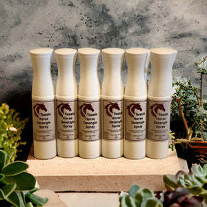 Teasle Detangle Spray