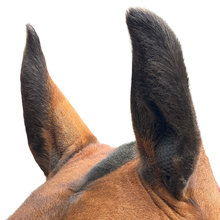 Load image into Gallery viewer, Equine Orbs - Performance Ear Plugs
