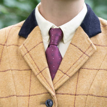 Load image into Gallery viewer, Horseshoe Showing Tie
