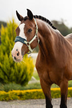 Load image into Gallery viewer, LeMieux Vogue Headcollar &amp; Leadrope
