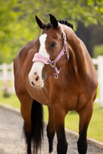 Load image into Gallery viewer, LeMieux Vogue Headcollar &amp; Leadrope
