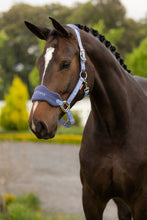 Load image into Gallery viewer, LeMieux Vogue Headcollar &amp; Leadrope
