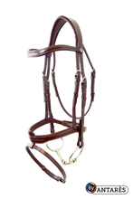 Load image into Gallery viewer, Antares Signature Flash Noseband Bridle
