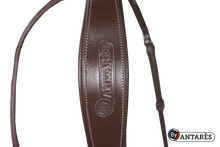Load image into Gallery viewer, Antares Signature Flash Noseband Bridle
