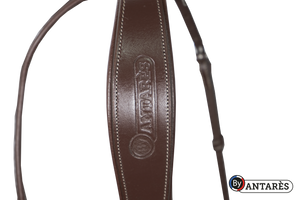 Antares Signature Flash Noseband Bridle