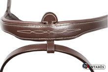 Load image into Gallery viewer, Antares Signature Flash Noseband Bridle
