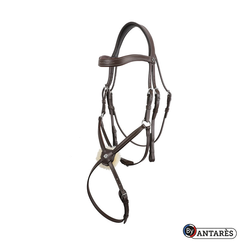 Antares Grackle Figure 8 Bridle