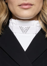 Load image into Gallery viewer, Samshield Plastron Crystal Fabric Triangle
