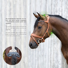 Load image into Gallery viewer, Stubben Freedom Bridle Magic Tack
