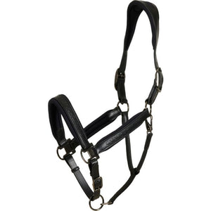 Catago Brielle Headcollar