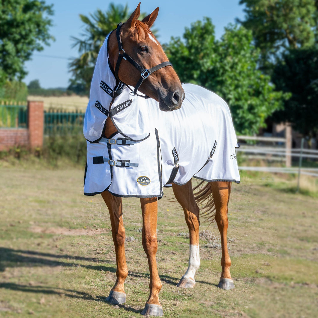 Gallop Classic Combo Fly Rug