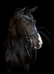 Catago Santo Rolled Double Bridle