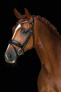 Schockemohle Stanford Anatomic Bridle