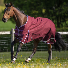 Load image into Gallery viewer, Gallop Trojan Xtra 0g Turnout Rug
