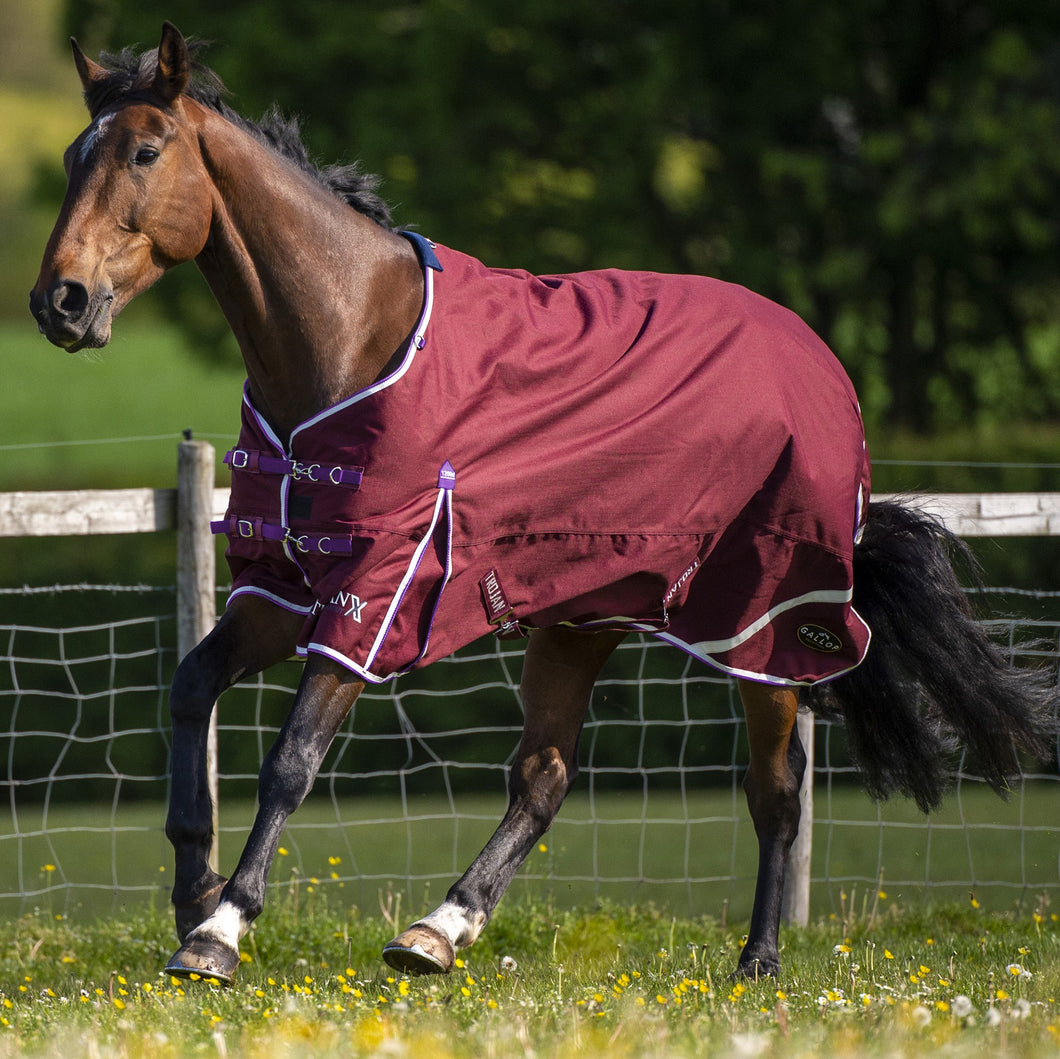 Gallop Trojan Xtra 0g Turnout Rug