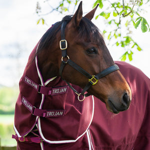 Gallop TROJAN  Xtra Neck Cover