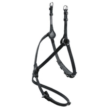 Load image into Gallery viewer, Schockemohle Rio Select Grackle Noseband

