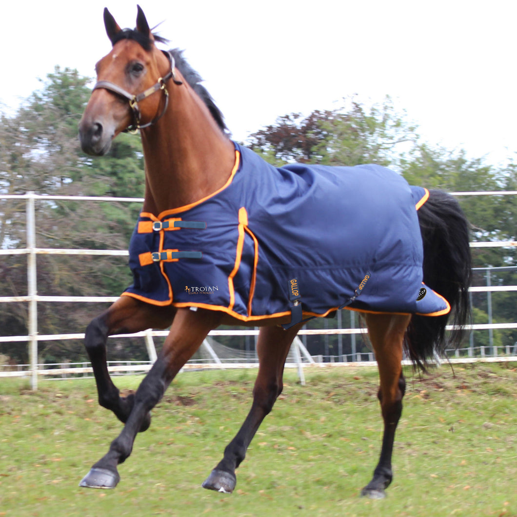 Gallop Trojan 100 Standard Turnout Rug