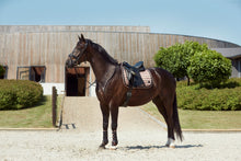 Load image into Gallery viewer, Fir Tech Elegant Dressage Saddle Pad Seasonal
