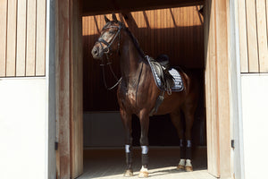 Fir Tech Elegant Dressage Saddle Pad Seasonal