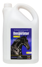 Load image into Gallery viewer, NAF Respirator Boost
