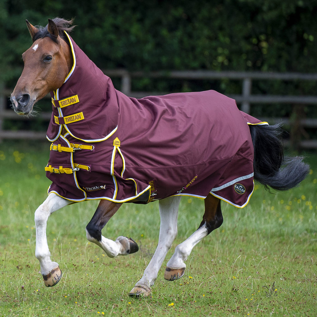 Gallop Trojan Xtra 200g Combo Turnout Rug