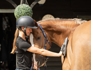 Equilibrium Massage Mitt