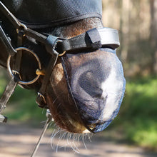 Load image into Gallery viewer, Equilibrium Net Relief Nose Shield
